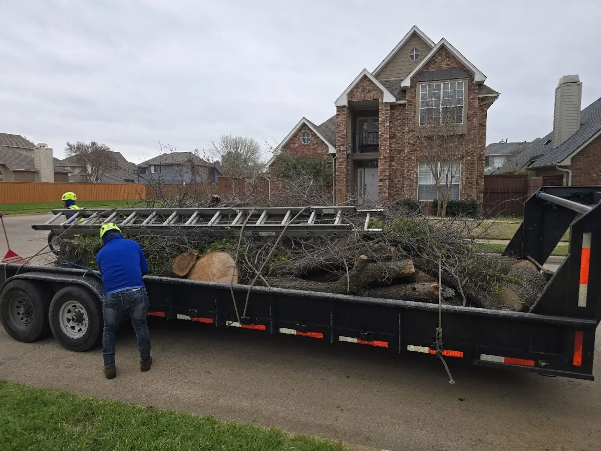 Expert Lot Clearing with proper safety equipment in Yorba Linda